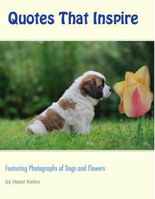 Dog Quotes Ebook