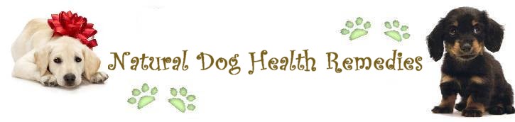 return to Natural Dog Health Remedies