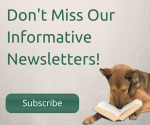 Newsletter Subscription