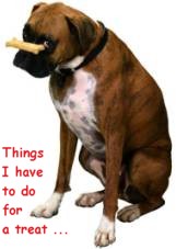 Dog with a Treat