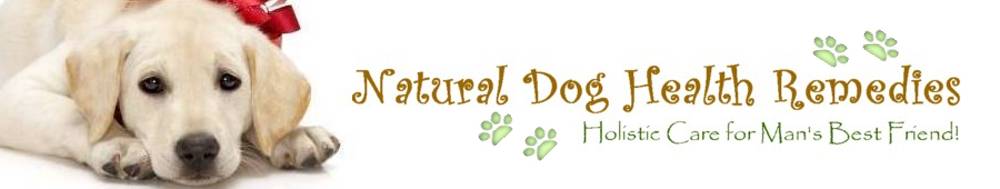 Natural Dog Health Remedies