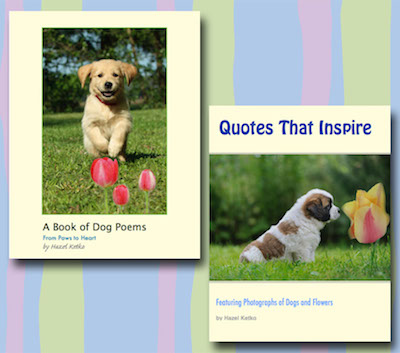 Dog Ebooks