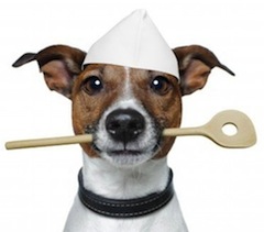 dog chef