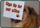 Ezine