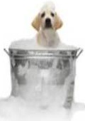 Dog Care