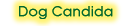 Dog Candida