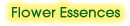 Flower Essences