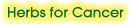 Herbs for Cancer