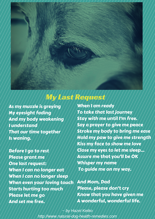 Here Is A Poem That I Have Written From Dog S Point Of View Hope It Helps