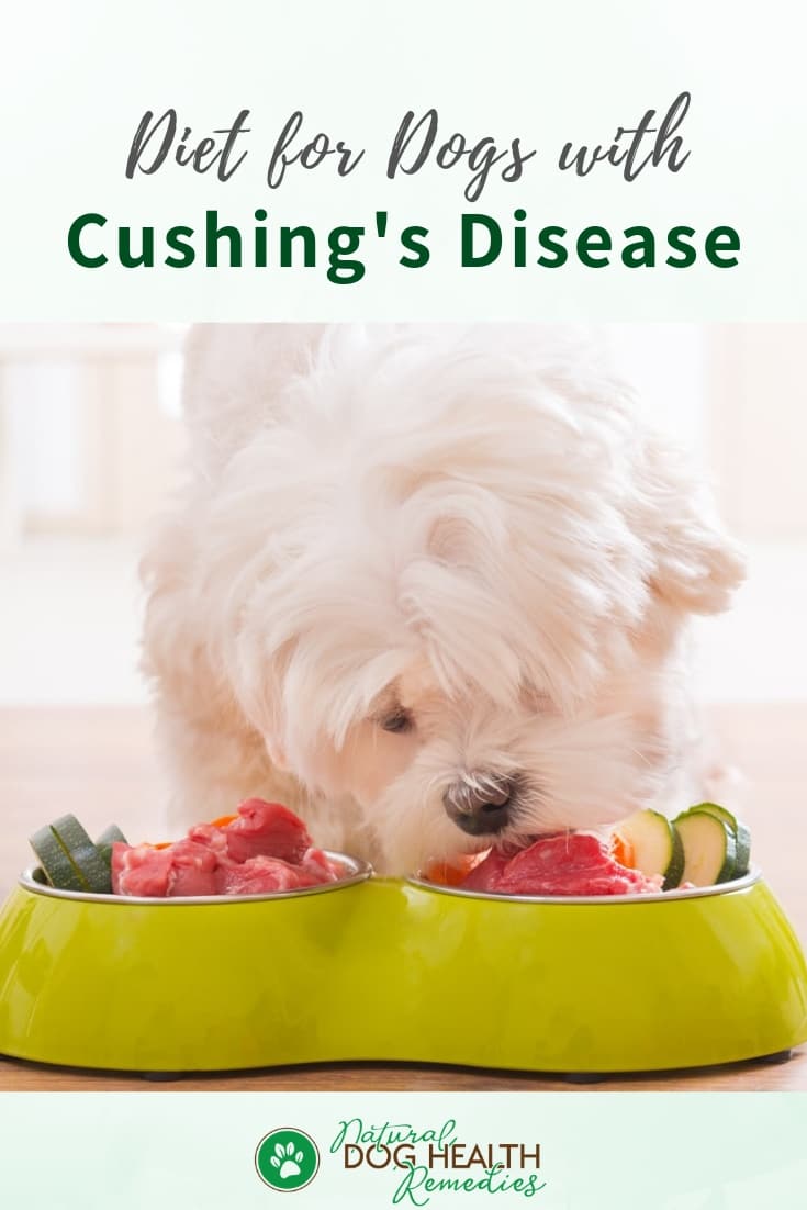 Dog Cushings Diet & Supplements