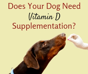 Vitamin D for Dogs
