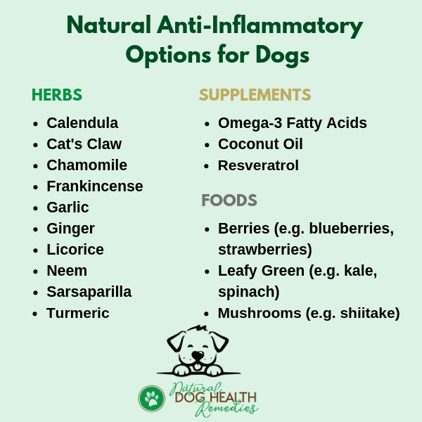 Natural Anti-inflammatory for Dogs