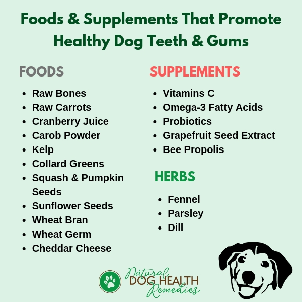 Foods & Supplements for Canine Dental Care