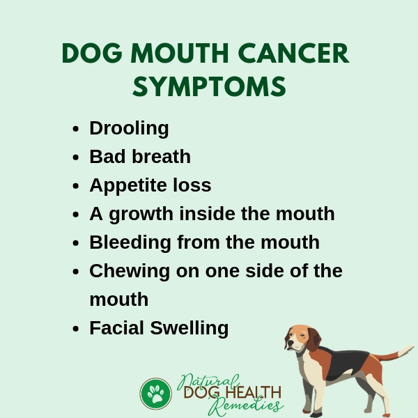 Canine Mouth Cancer Symptoms