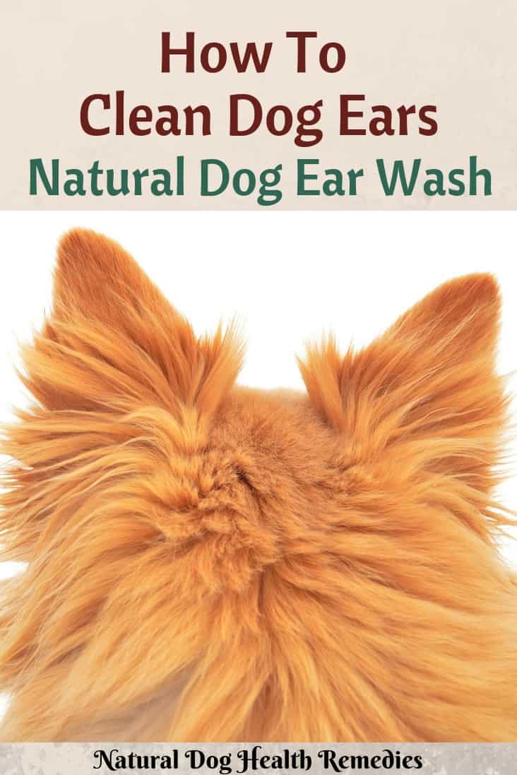 Cleaning Dog Ears