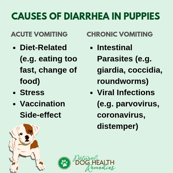 how long do puppies have diarrhea after food change