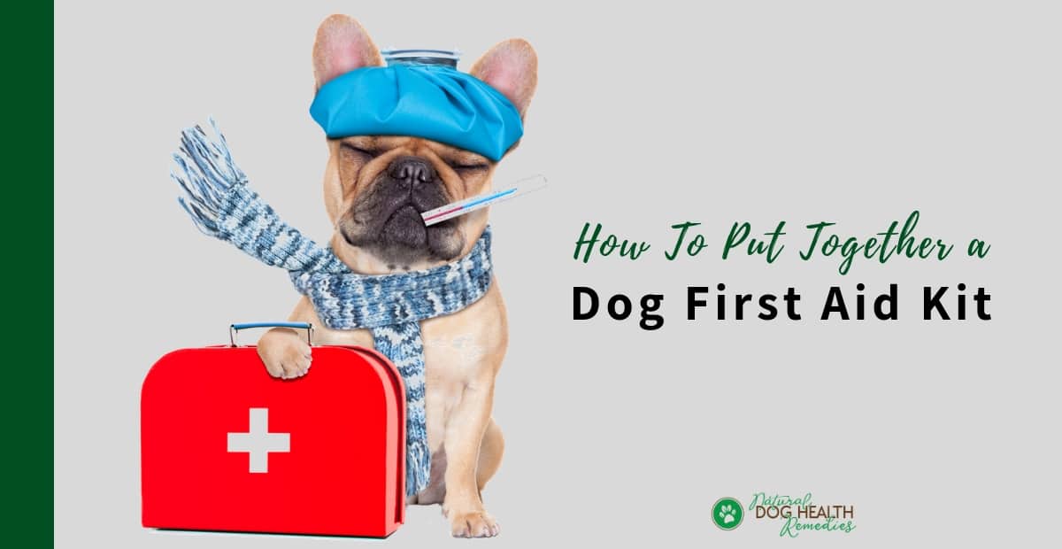 Dog First Aid Kit For Emergency Dog Care