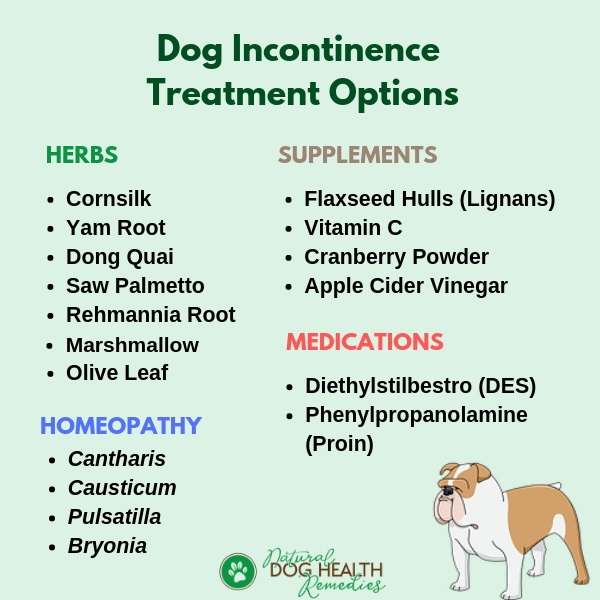 Natural Dog Incontinence Remedies | Herbs, Supplements, Homeopathic ...