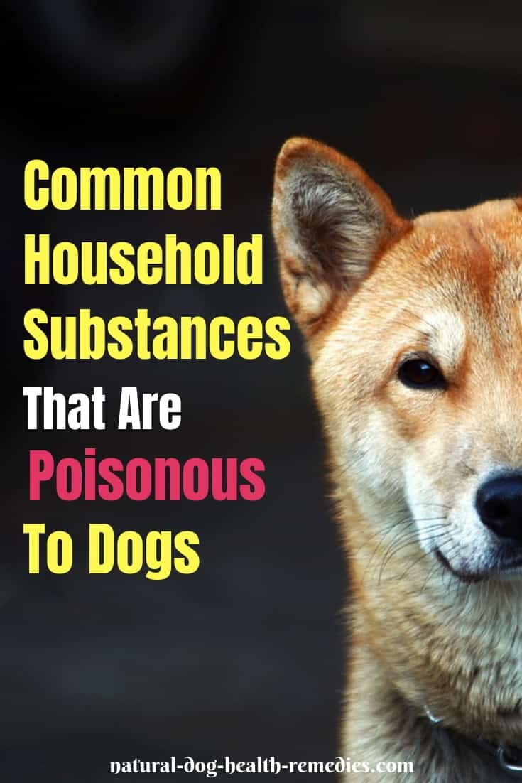 Dog Poisoning Substances