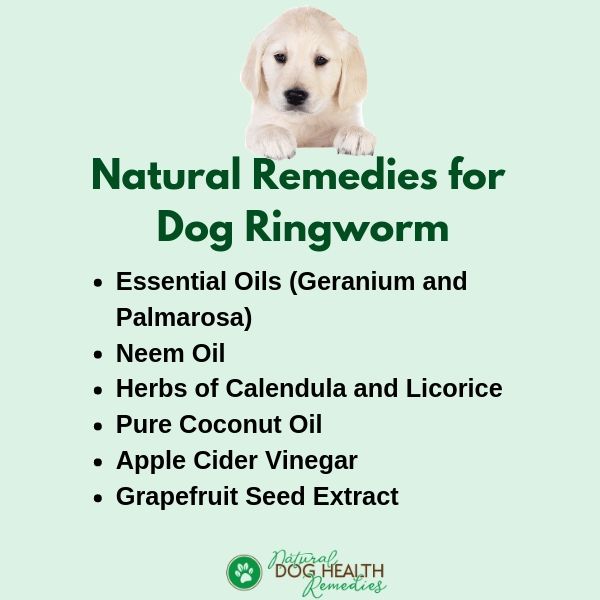 Natural Remedies for Dog Ringworm