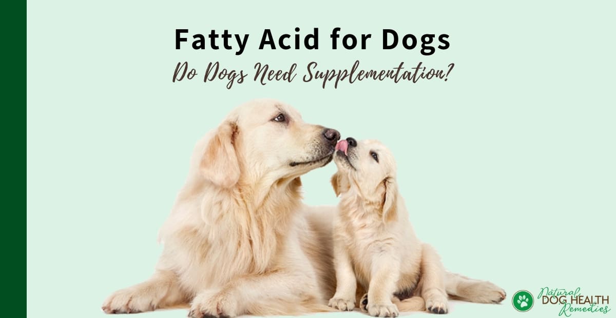 Fatty Acids for Dogs