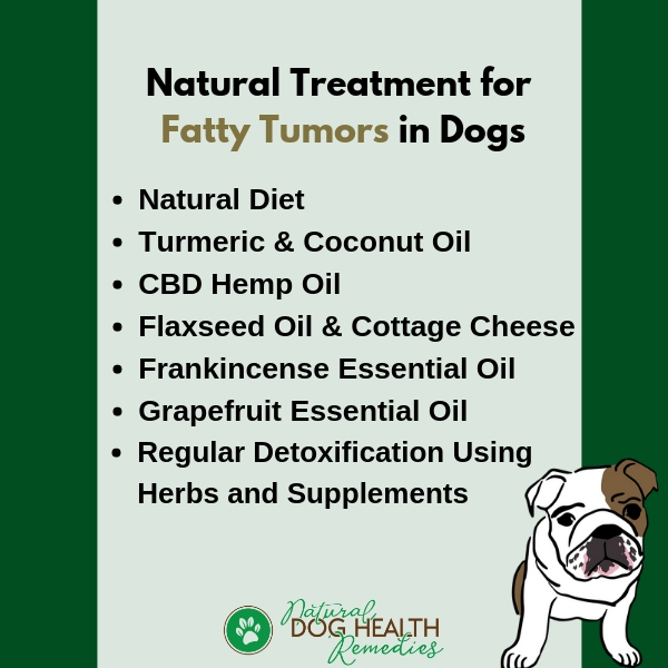 How To Shrink Canine Fatty Tumors