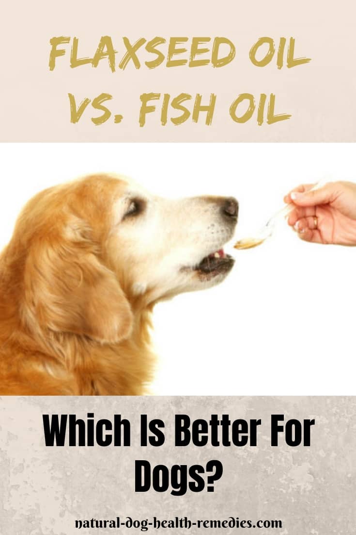Fish Oil vs. Flaxeed Oil for Dogs