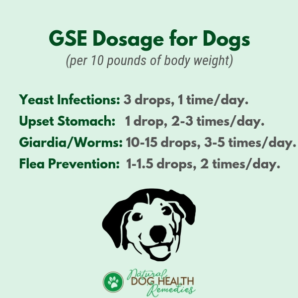 GSE Dosage for Dogs