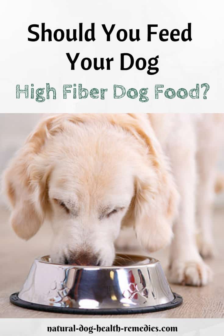 High Fiber Dog Food