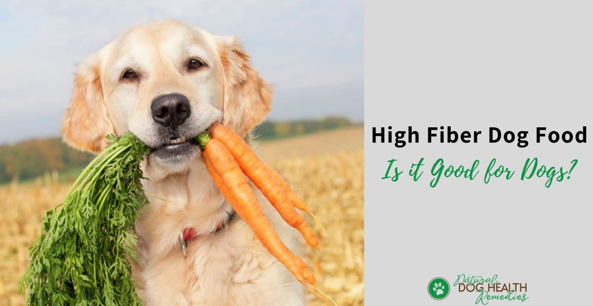 High Fiber Dog Food