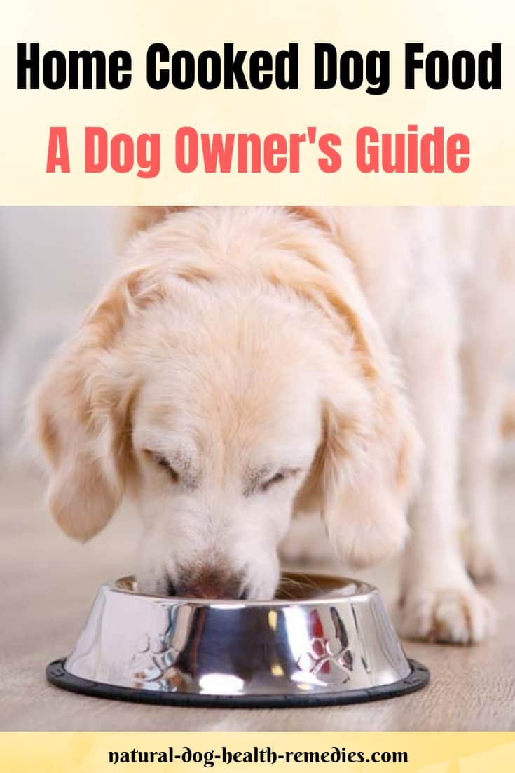 Dog Owner's Guide to Home Cooked Dog Food
