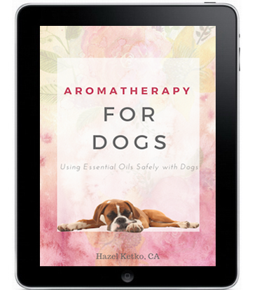 Aromatherapy Recipes for Dogs