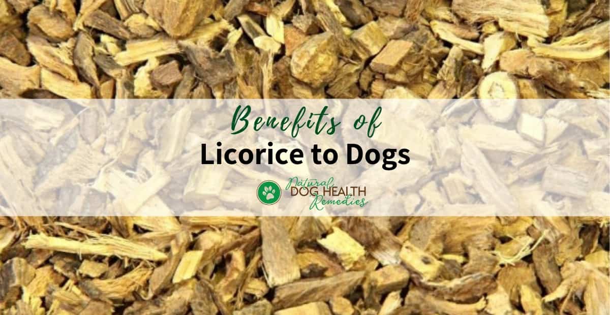 Licorice Benefits for Dogs