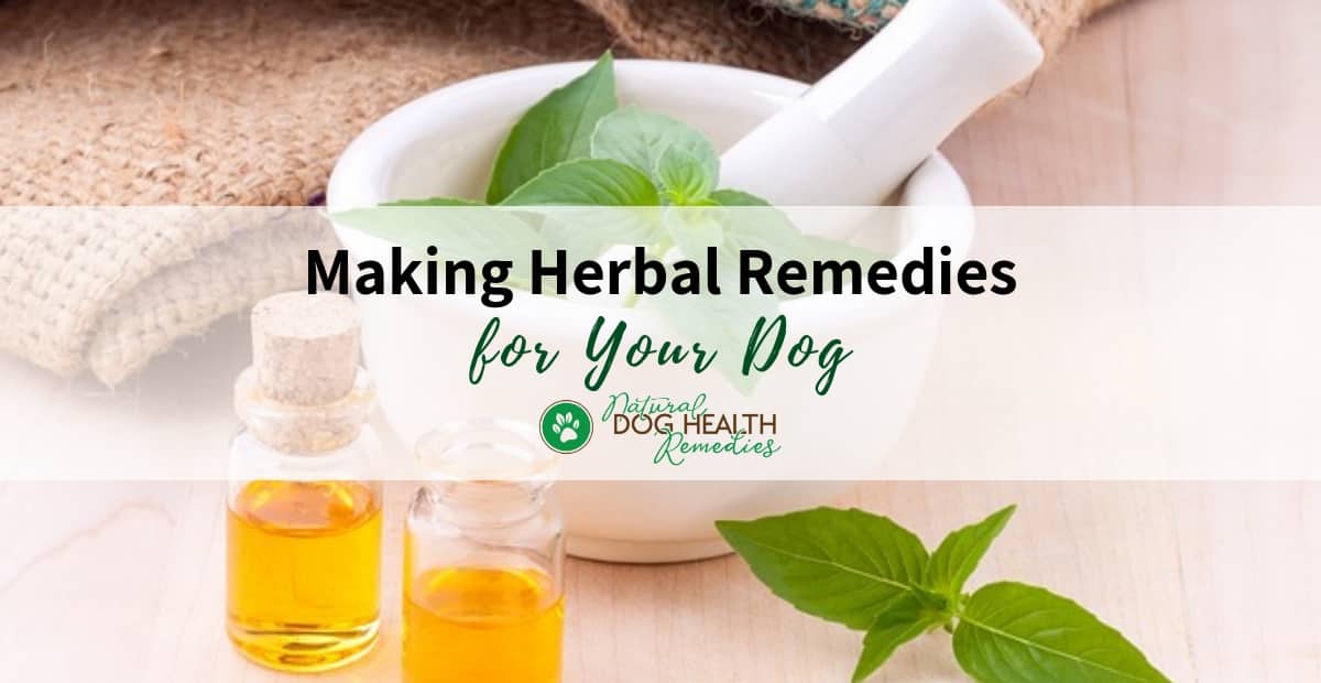Making Herbal Remedies for Dogs