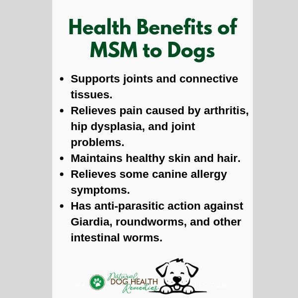 MSM for Dogs Benefits