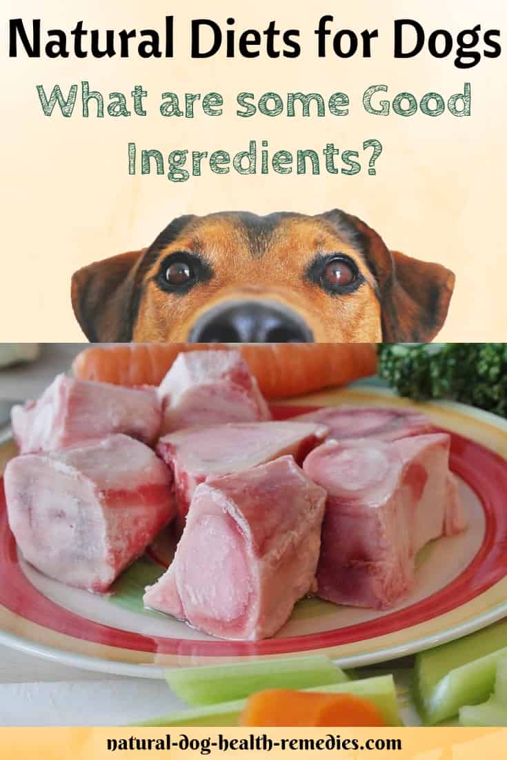 Natural Diets for Dogs Ingredients and Supplements