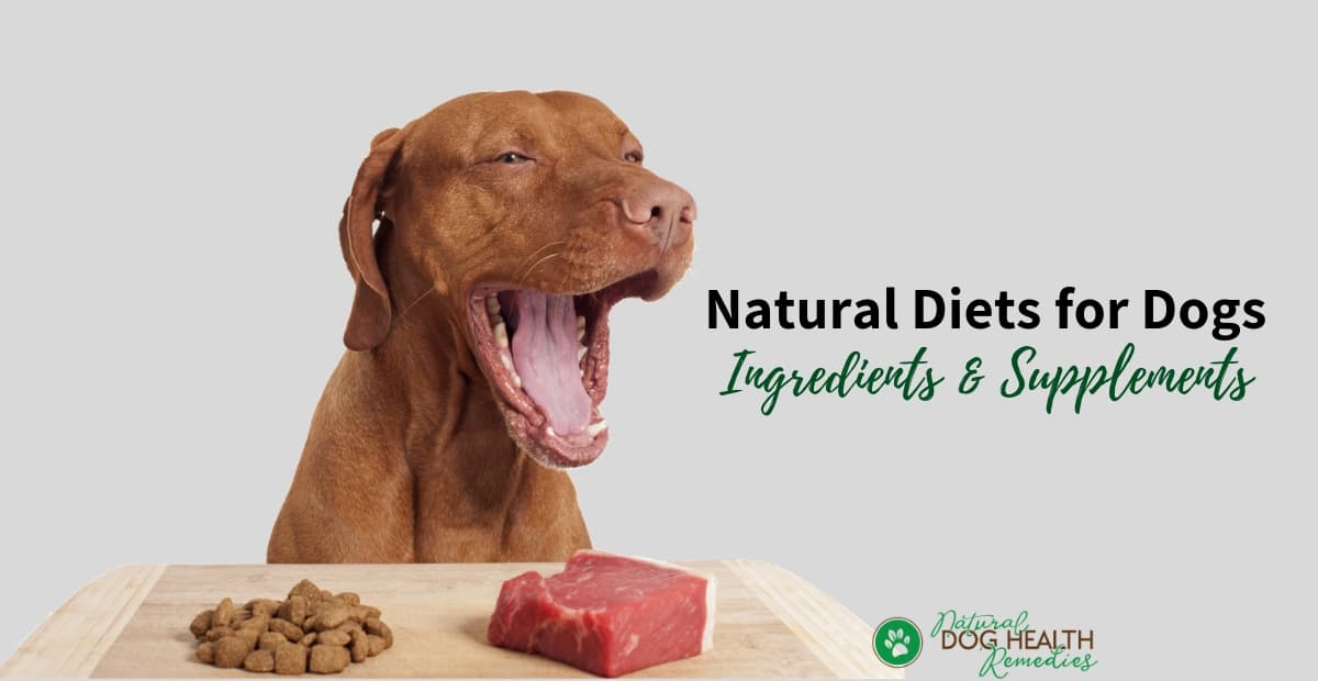 Natural Diets for Dogs