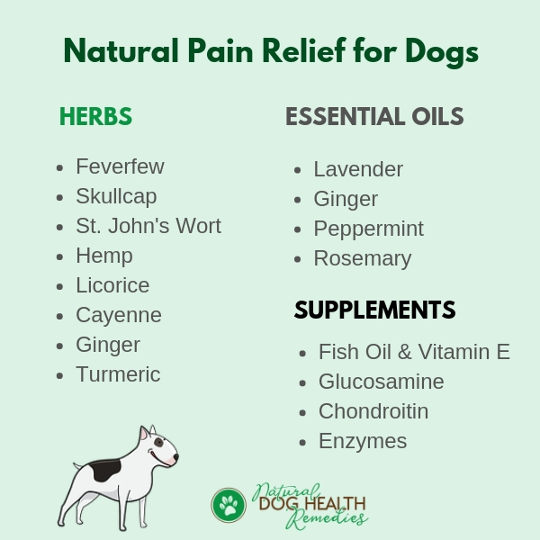 Natural Pain Relief for Dogs