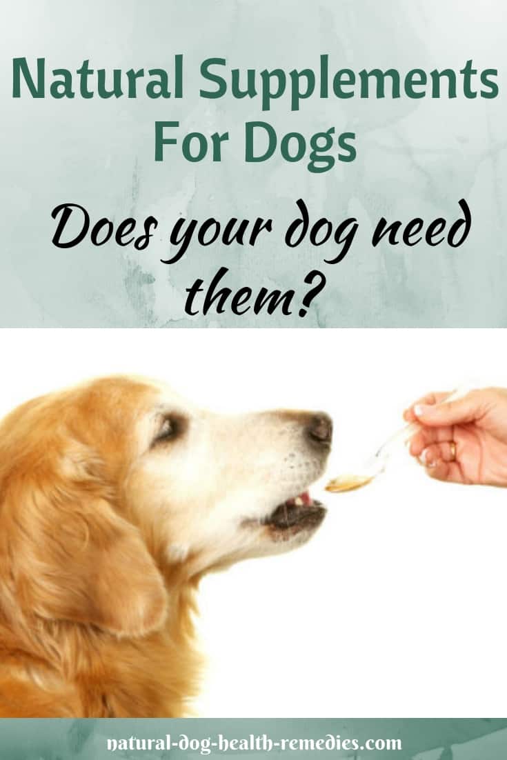 Natural Supplements for Dogs