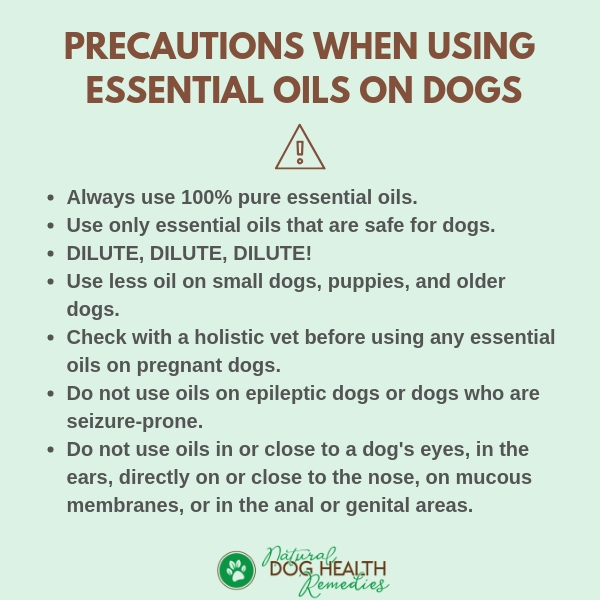 Precautions when using Essential Oils on Dogs