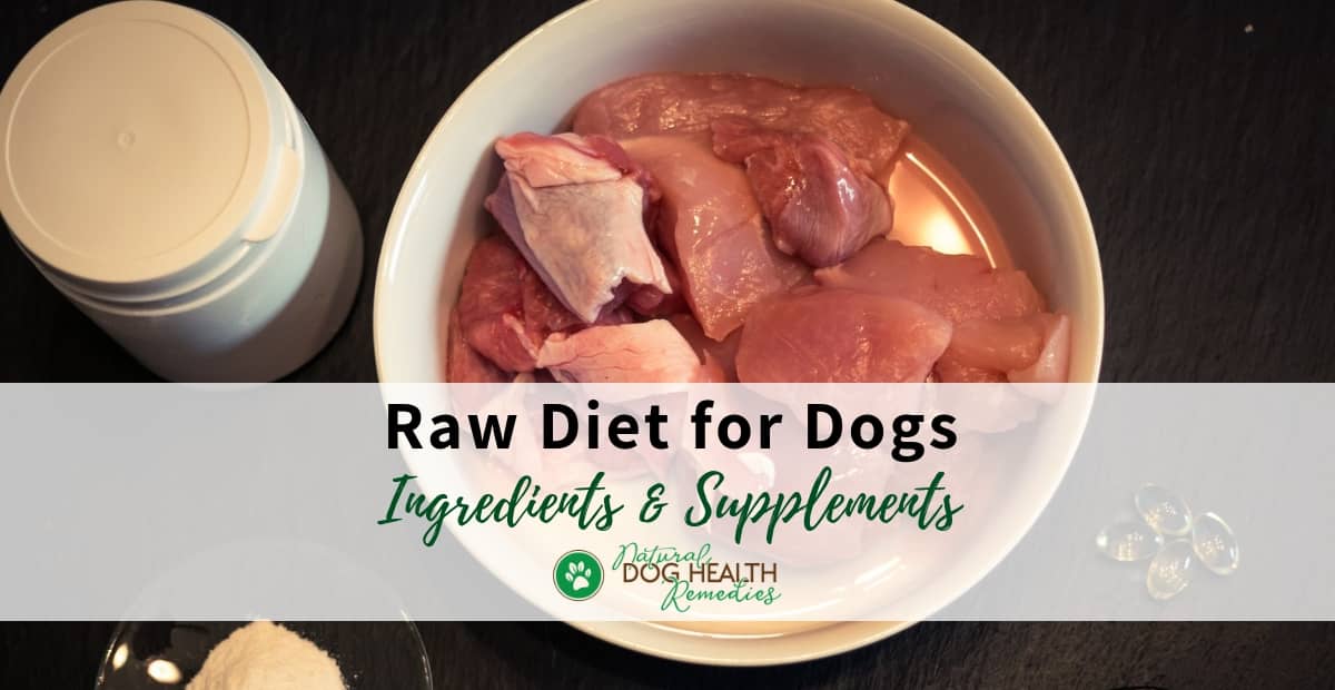 Raw Diet for Dogs
