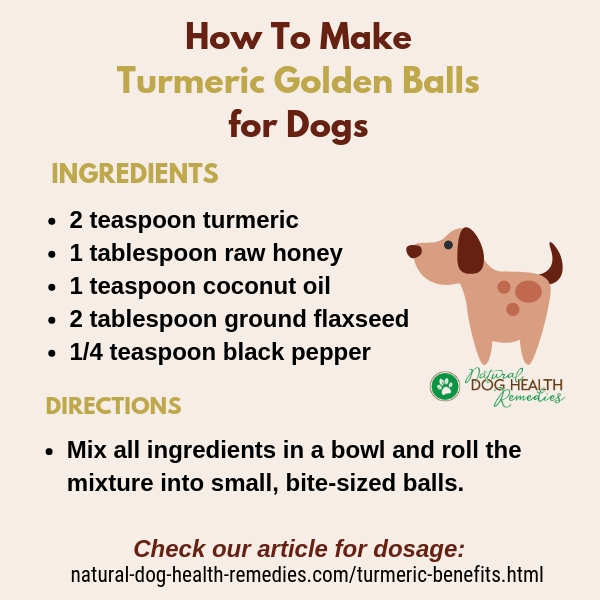 How To Make Turmeric Golden Balls for Dogs