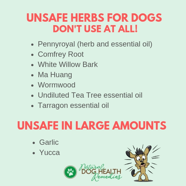 A List of Unsafe Herbs for Pets