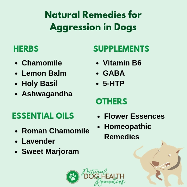 Natural Remedies for Dog Aggression
