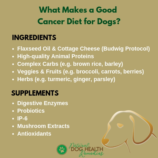 What Makes a Good Cancer Diet for Dogs