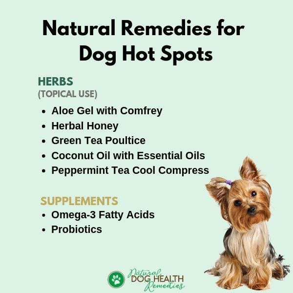 Natural Dog Hot Spots Remedies