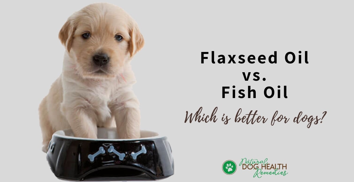 Flaxeed Oil for Dogs