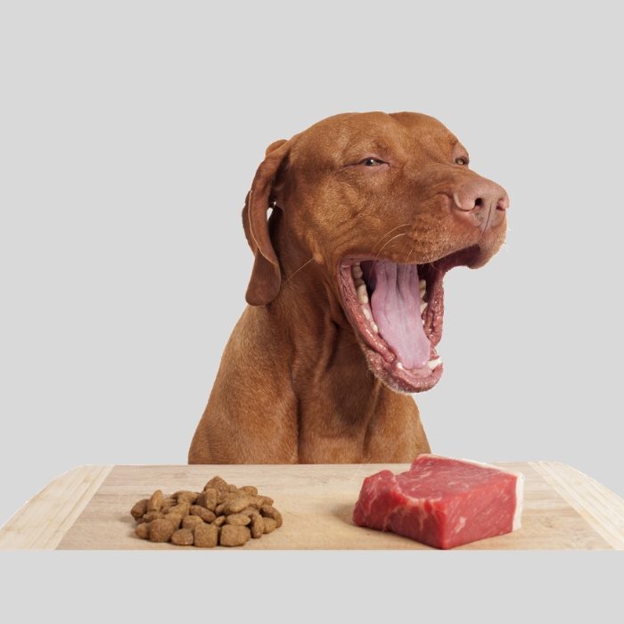 Natural Diets for Dogs